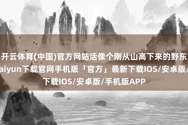 开云体育(中国)官方网站活像个刚从山高下来的野东谈主-开云kaiyun下载官网手机版「官方」最新下载IOS/安卓版/手机版APP